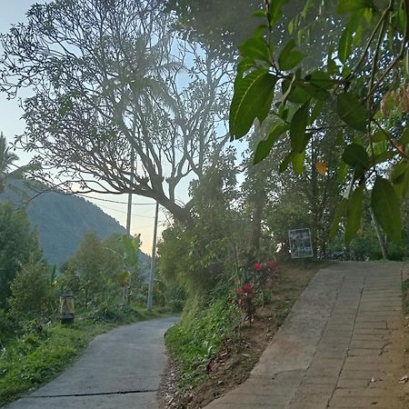 Jepun Homestay Lemukih سينغاراجا المظهر الخارجي الصورة