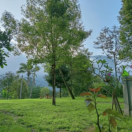 Jepun Homestay Lemukih سينغاراجا المظهر الخارجي الصورة