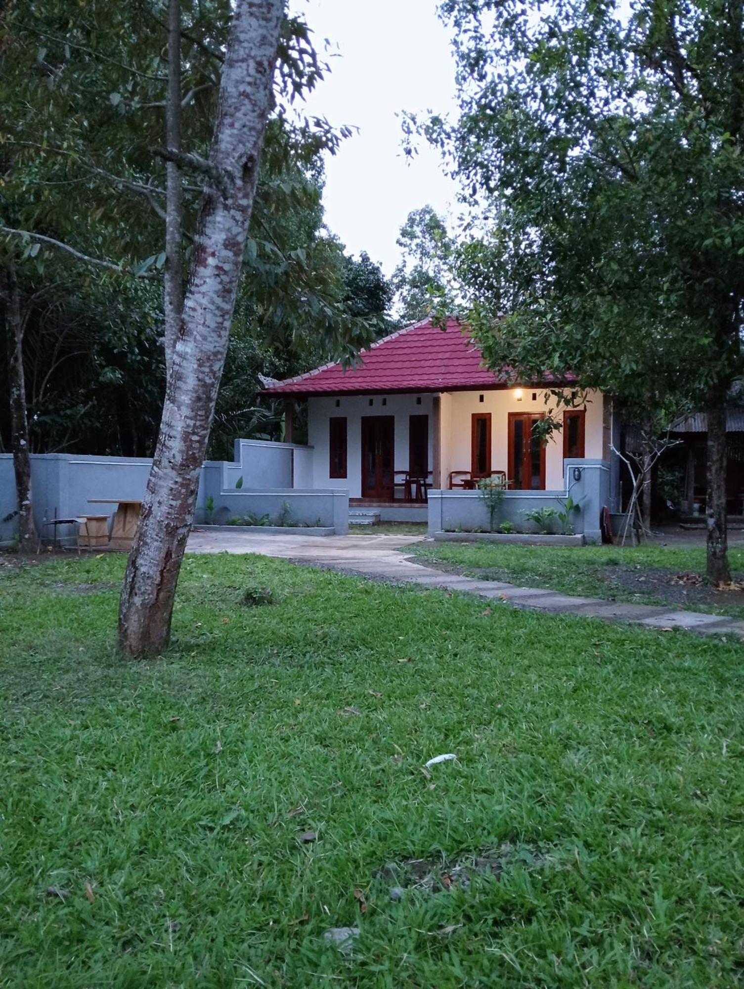 Jepun Homestay Lemukih سينغاراجا المظهر الخارجي الصورة