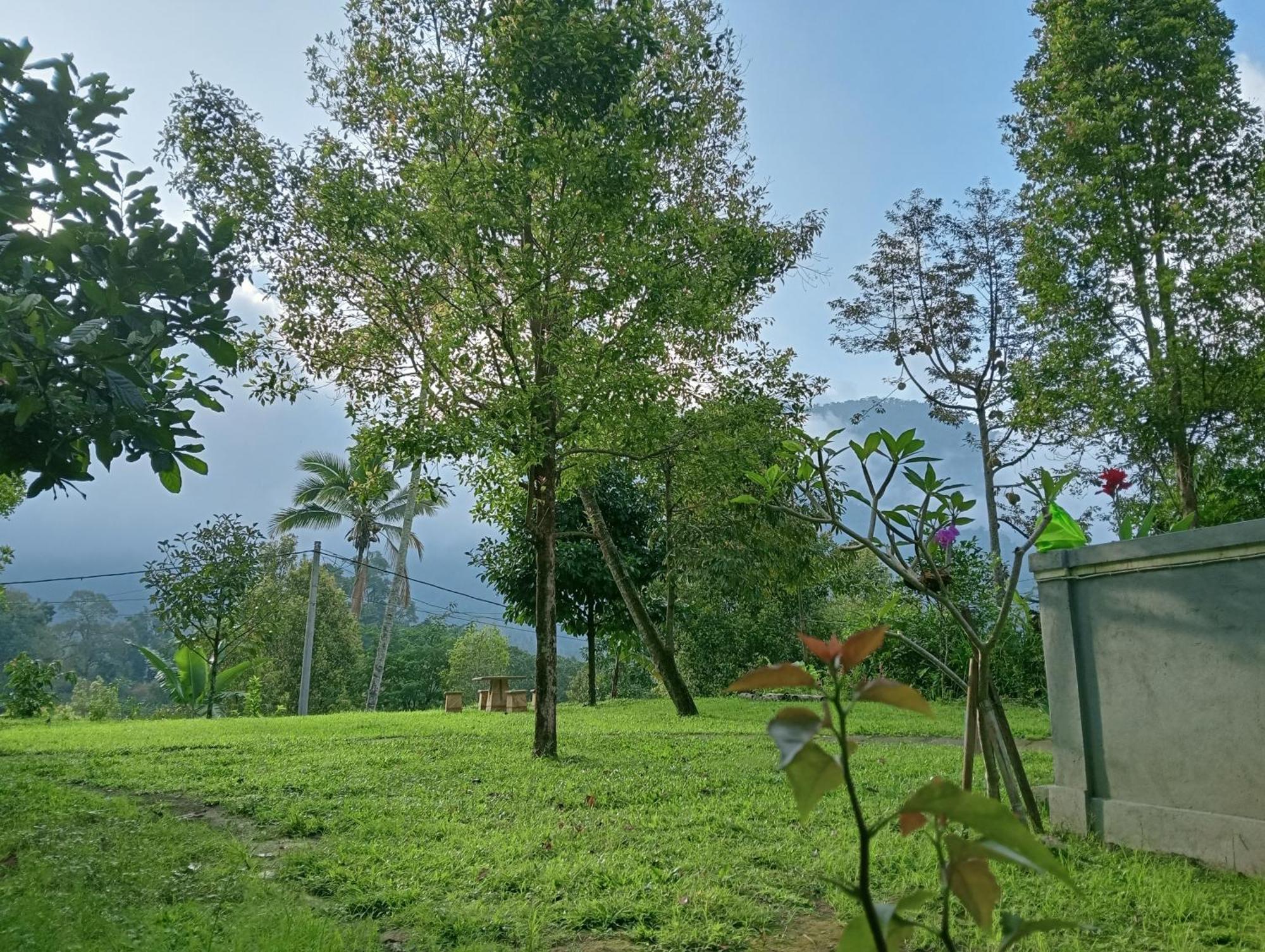 Jepun Homestay Lemukih سينغاراجا المظهر الخارجي الصورة