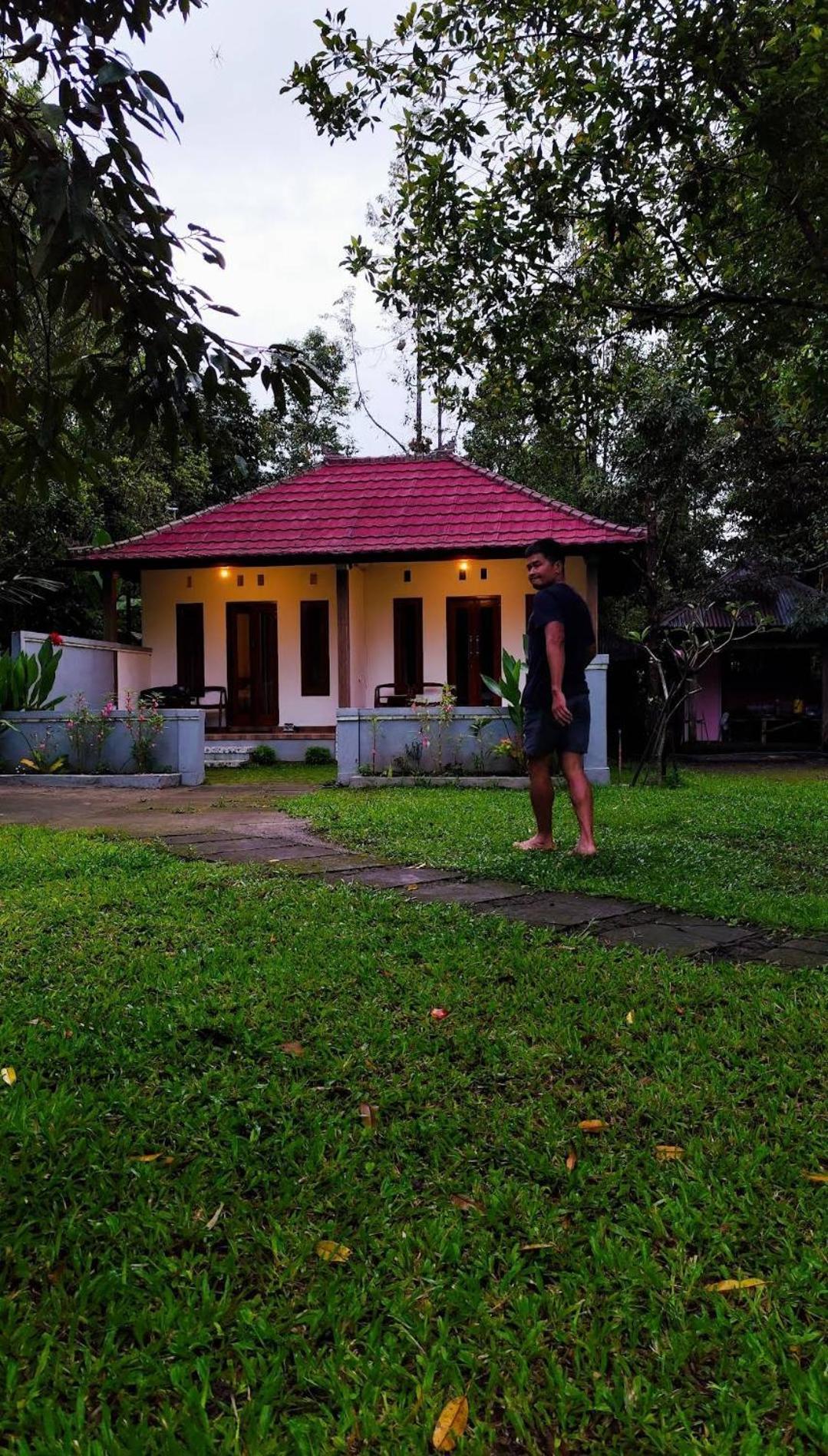 Jepun Homestay Lemukih سينغاراجا المظهر الخارجي الصورة