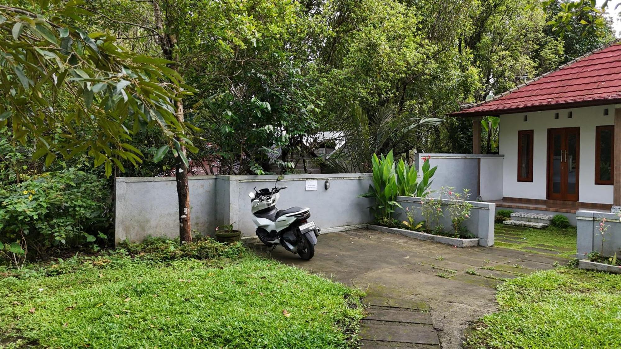 Jepun Homestay Lemukih سينغاراجا المظهر الخارجي الصورة